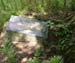 Eden_Church_Cemetery_Bellemy_Grave