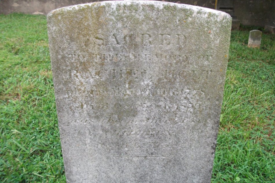 Rachel Holt