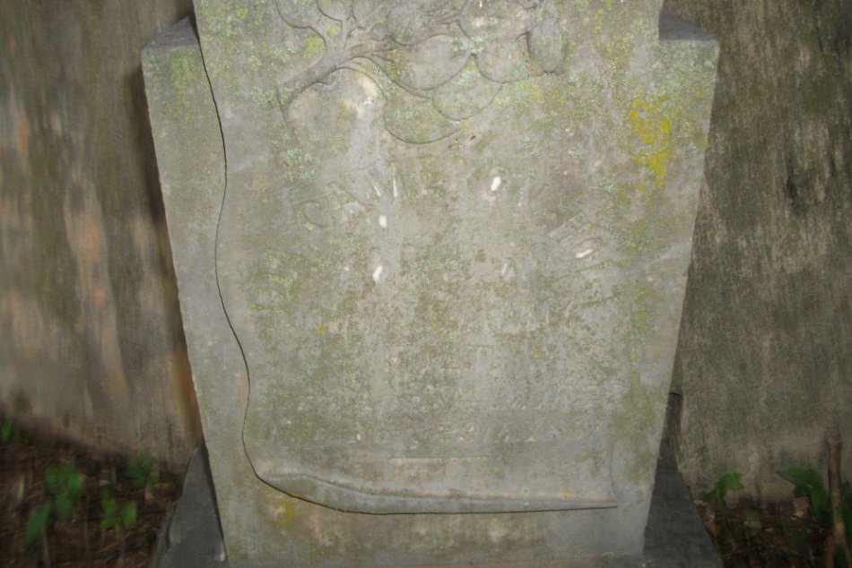 Ida Cameron Holt