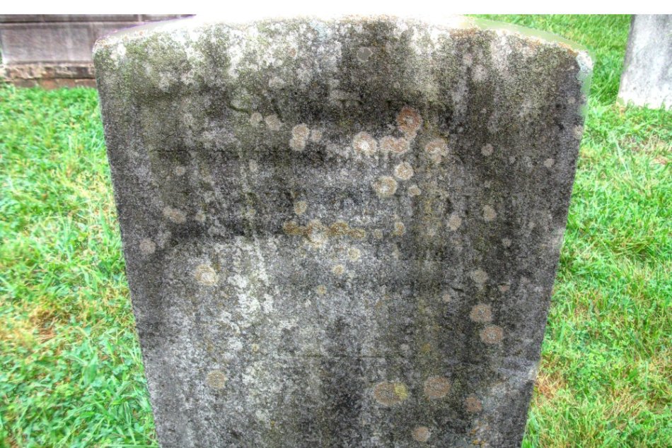 Jane L. Holt