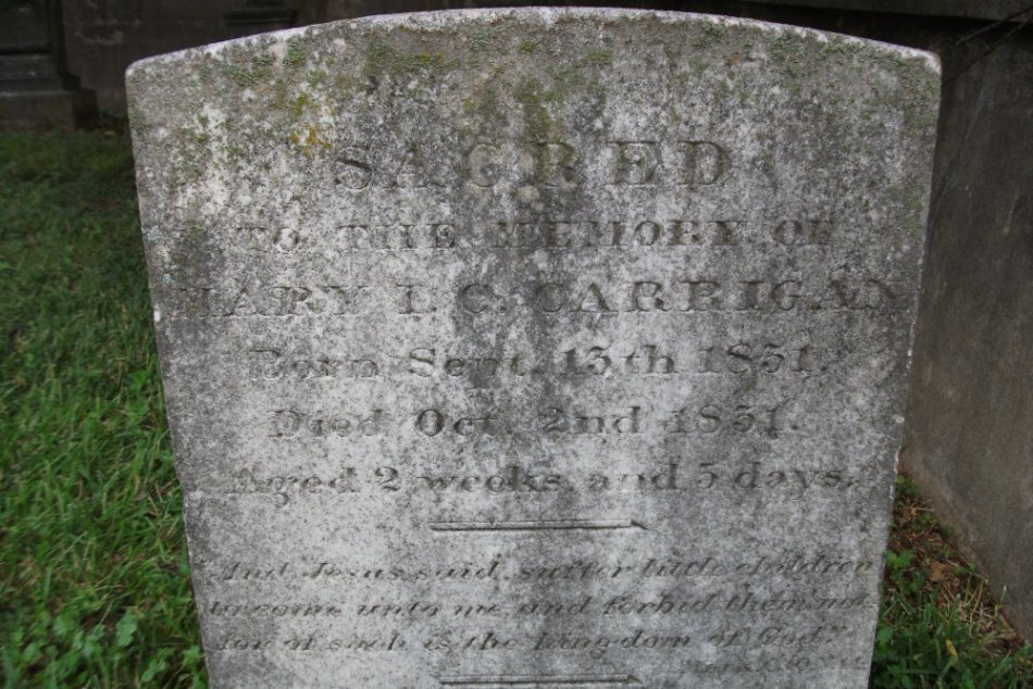 Mary I C Carrigan