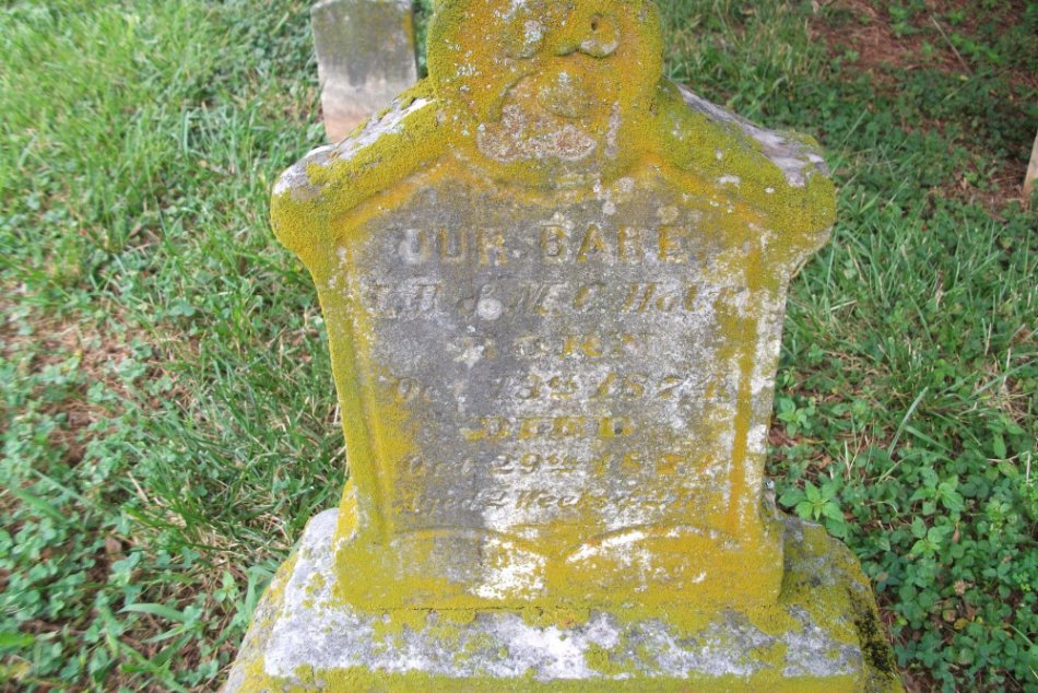 Holt Infant