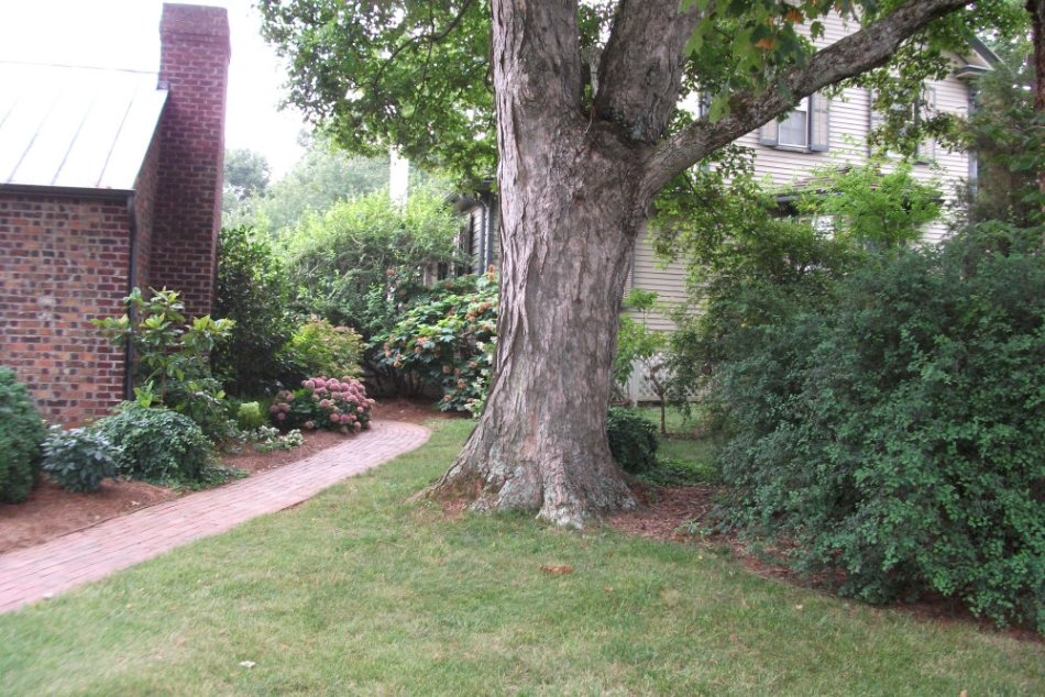 Holt House and Museum