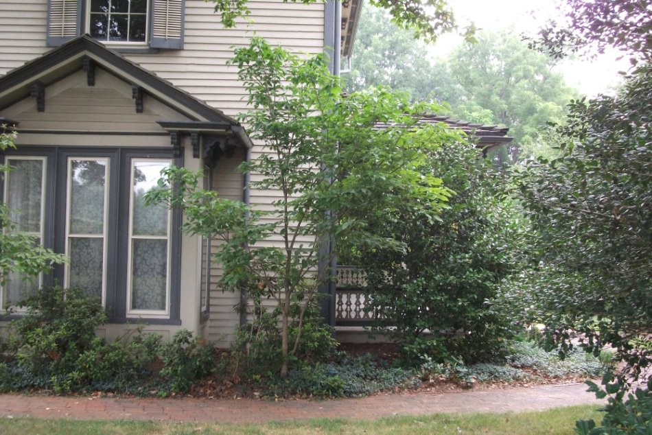 Holt House and Museum