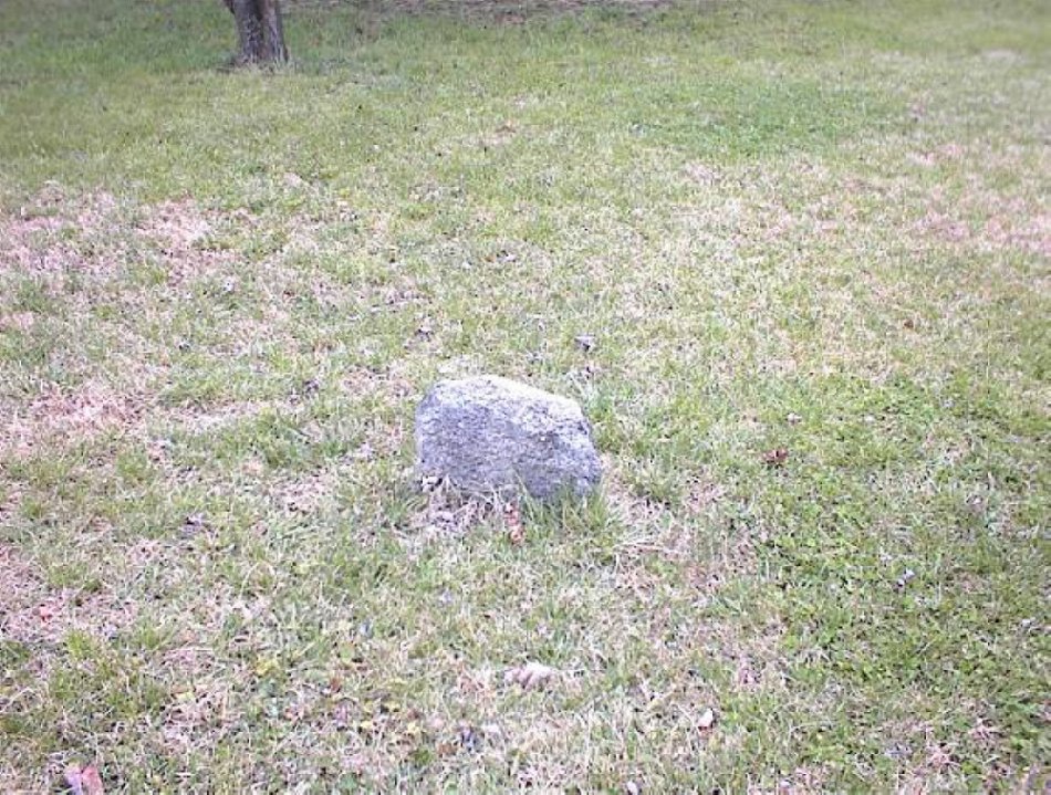 Michael Holt Cemetery