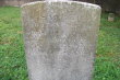 Rachel Holt