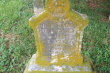 Holt Infant