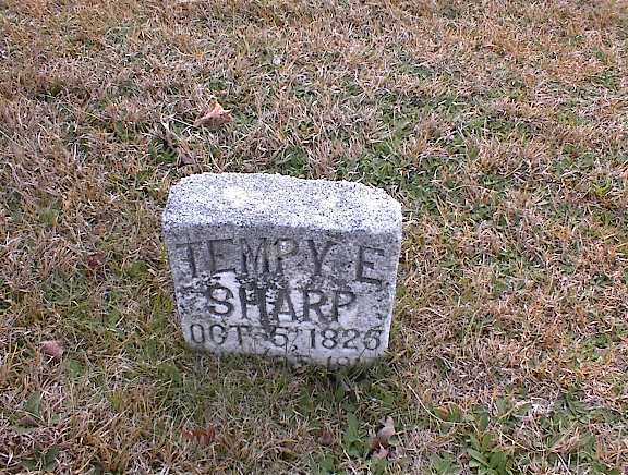 sharp-tempy.jpg
