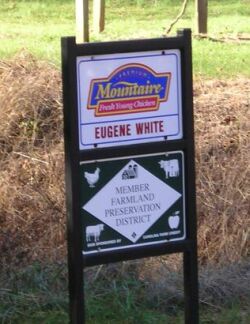 Road to Land Cemetery