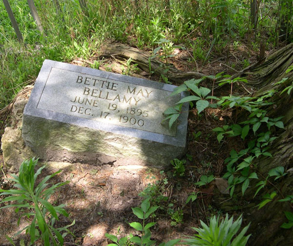 Eden_Church_Cemetery_Bellemy_Grave
