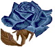 _bluerose.jpg (4583 bytes)