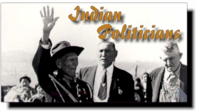 indpolitic.jpg (58966 bytes)