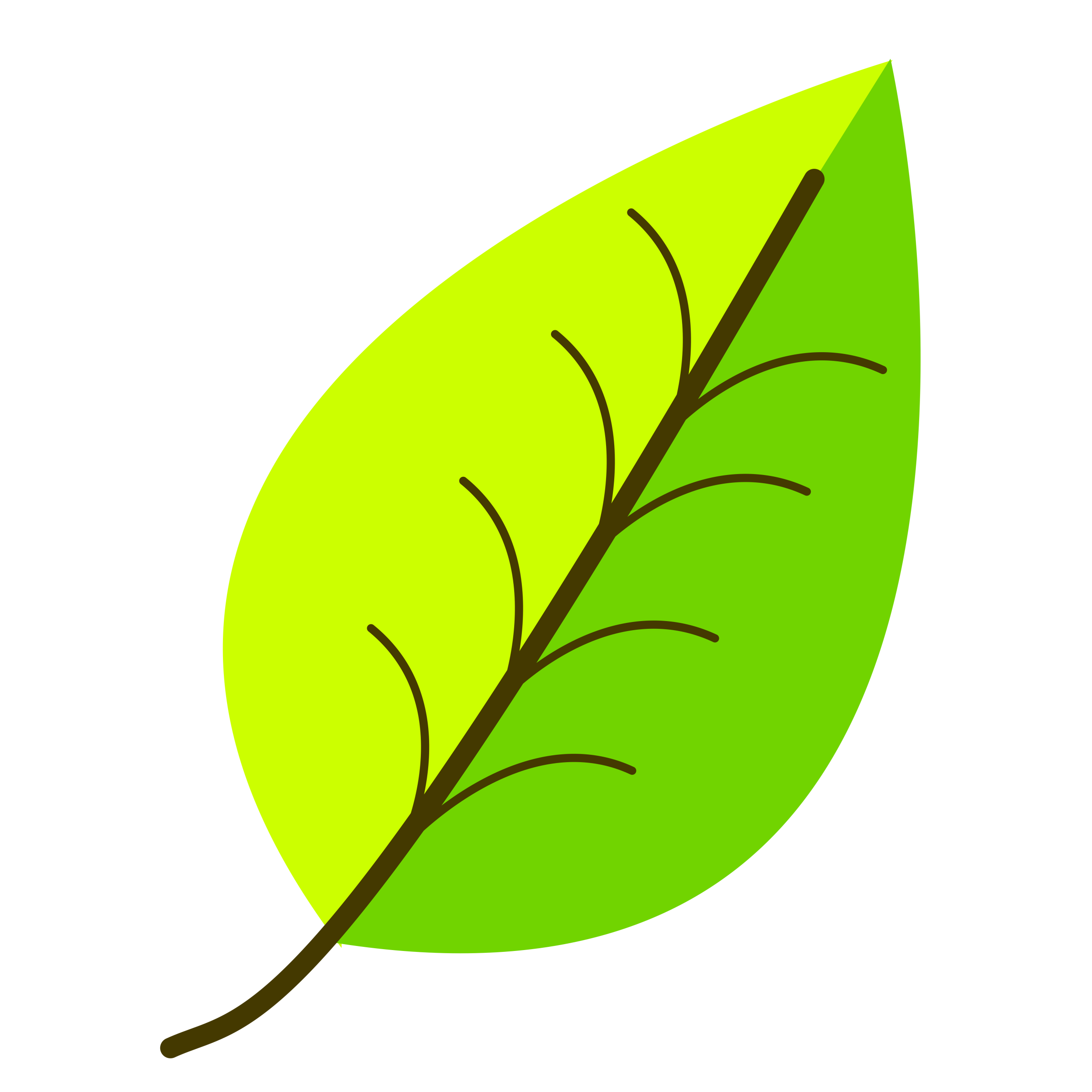 leaf